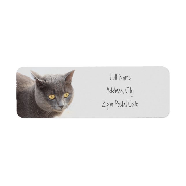 Kitty Chat Étiquettes de adresse animaux (Devant)