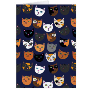 Kitty Chats partout motif