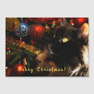 Kitty Christmas Greetings