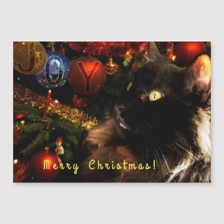 Kitty Christmas Greetings
