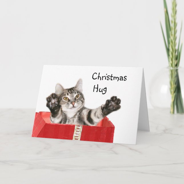 Kitty Christmas hug Holiday Card (Front)