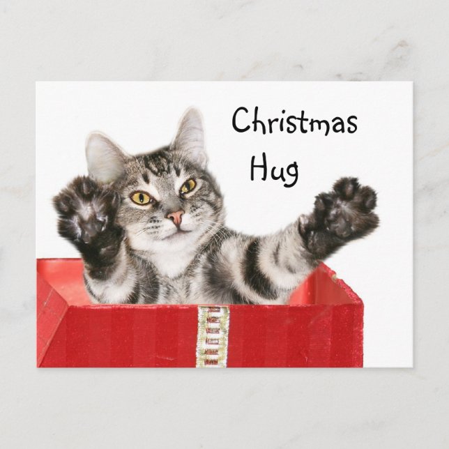 Kitty Christmas hug Holiday Postcard (Front)
