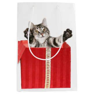 Kitty Christmas hug Medium Gift Bag