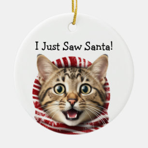 Kitty Christmas Humour Cat Ornament