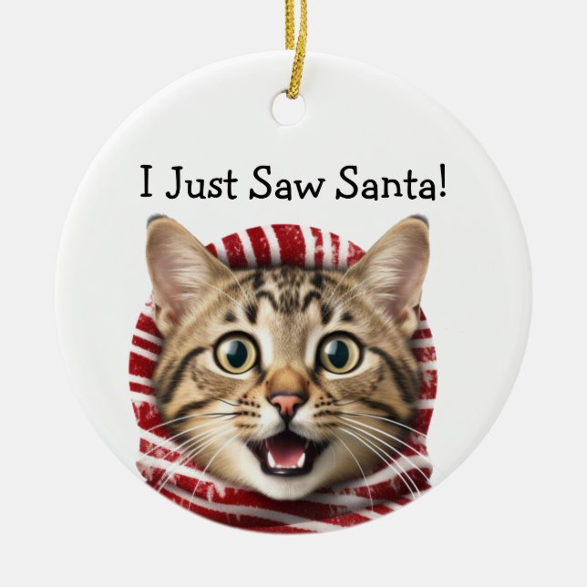 Kitty Christmas Humour Cat Ornament (Front)