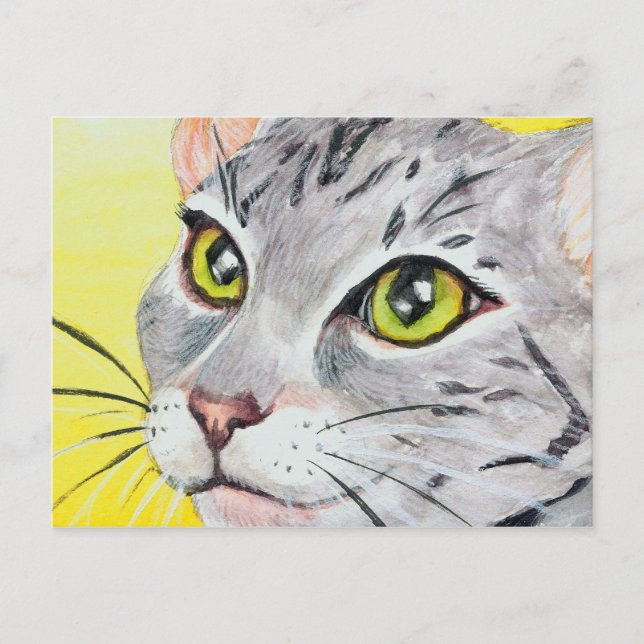 Kitty Closeup Postcard (Front)
