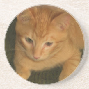 Kitty Coaster