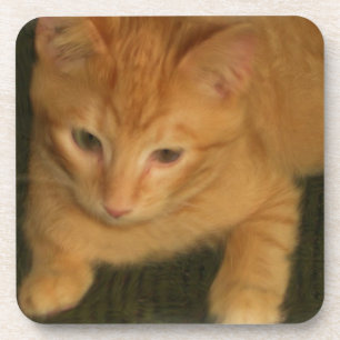 Kitty Coasters - Set of 6