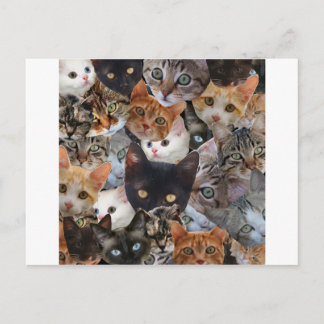 Kitty Collage Postcard