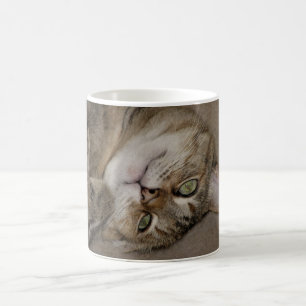 Kitty Cute Mug