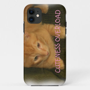 Kitty "CUTENESS OVERLOAD" iPhone 5 Coque