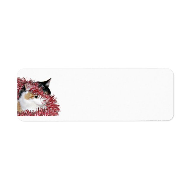 Kitty de Noël de Calico (Devant)