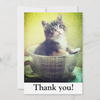 kitty en Carte de remerciements de tasse