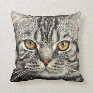 Kitty Face Closeup Pillow