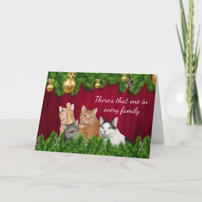 Kitty family Christmas Holiday Card (Front)