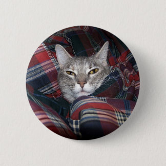 Kitty gets cozy. 2 inch round button
