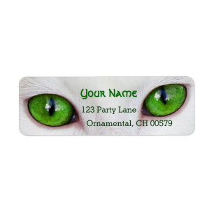 Kitty green eyes