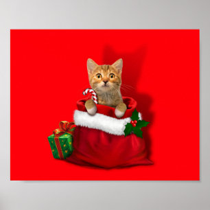 Kitty in a Christmas Bag Poster