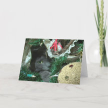 Kitty In A Christmas Tree Greeting Card