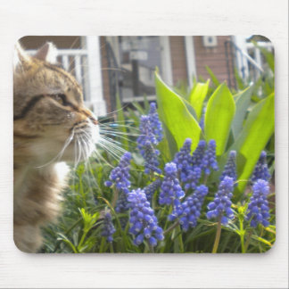 Kitty in Muscari Garden Mouse Pad