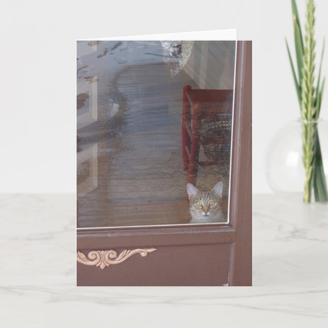 Kitty in the Doorway Card (Front)