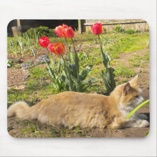 Kitty in the Garden Mousepad