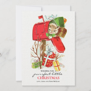 Kitty In The Mailbox Holiday Card