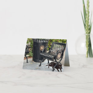 Kitty in The Park Card