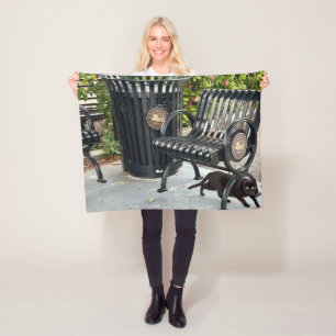 Kitty in The Park Fleece Blanket