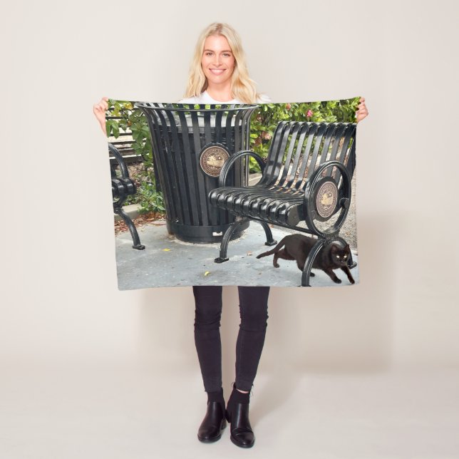 Kitty in The Park Fleece Blanket (In Situ)