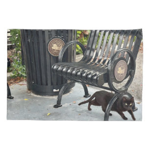 Kitty in The Park Pillowcase