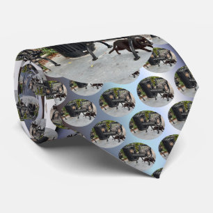 Kitty in The Park Tie