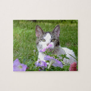 Kitty in the Petunias Puzzle