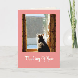 Kitty In The Window Get Well Card