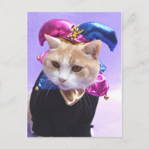 Kitty Jester Postcard