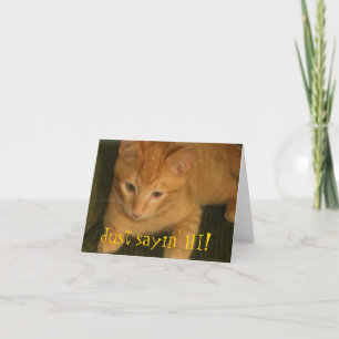 Kitty "Just sayin' HI!" Greeting Card