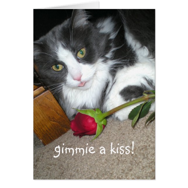Kitty Kisses Romantic Card (Front)