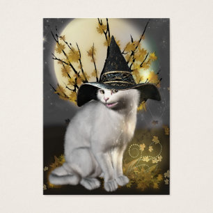 Kitty le chat magique de sorcières