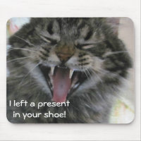 Kitty Left a Present In Your Shoe