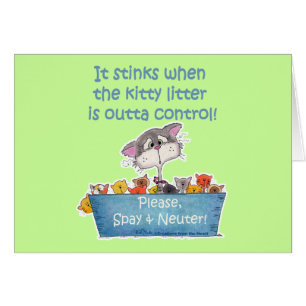 Kitty Litter Stinks