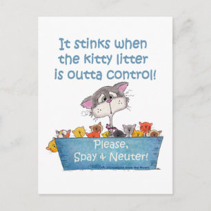 Kitty Litter Stinks Postcard