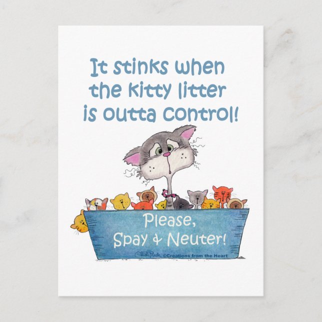 Kitty Litter Stinks Postcard (Front)
