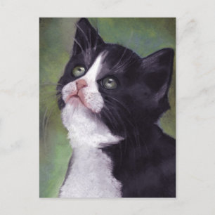 Kitty Looking Up: Cat in Oil Pastel Postcard