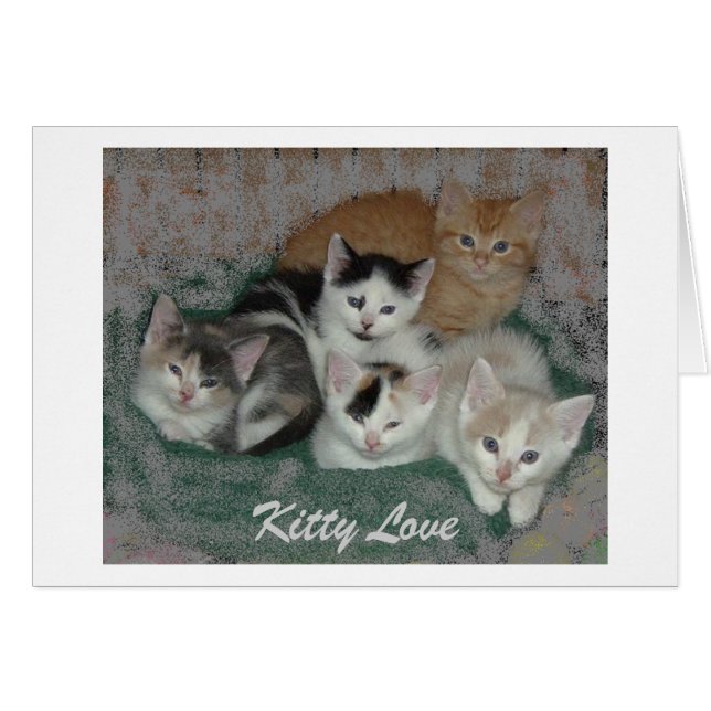 Kitty Love (Devant horizontal)