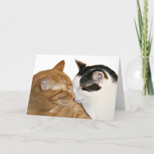 kitty love card