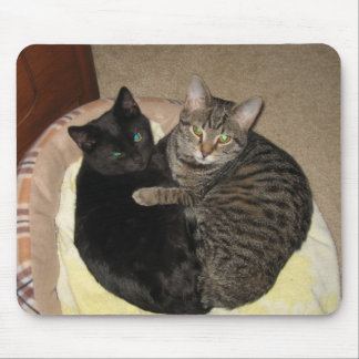 Kitty Love Mouse Pad