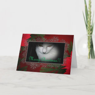 Kitty Lovers Christmas Card! Holiday Card