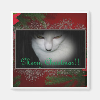Kitty Lovers Christmas !! Magnet
