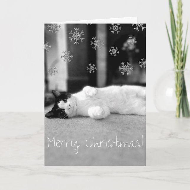 Kitty Merry Christmas Card (Front)