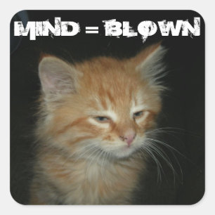 Kitty "MIND = BLOWN" Stickers - Set 20